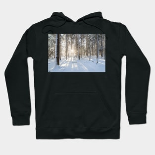 Sunshine in winter forest evening Hoodie